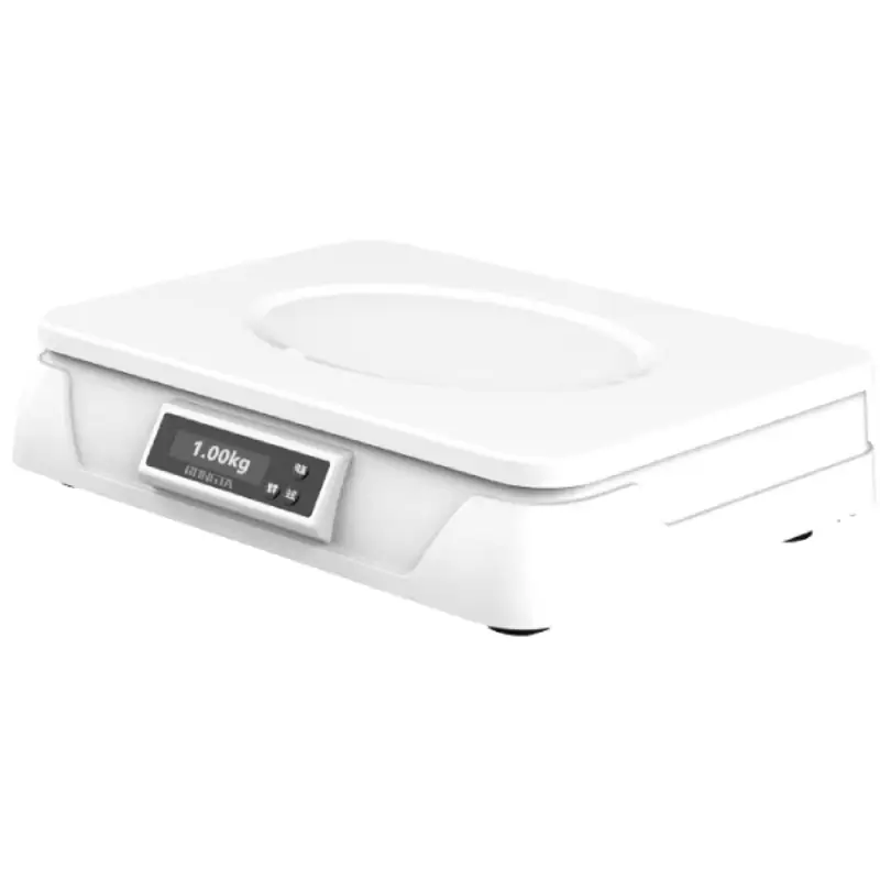 Cân điện tử DS-800C